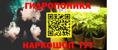 прущая мука Гусев