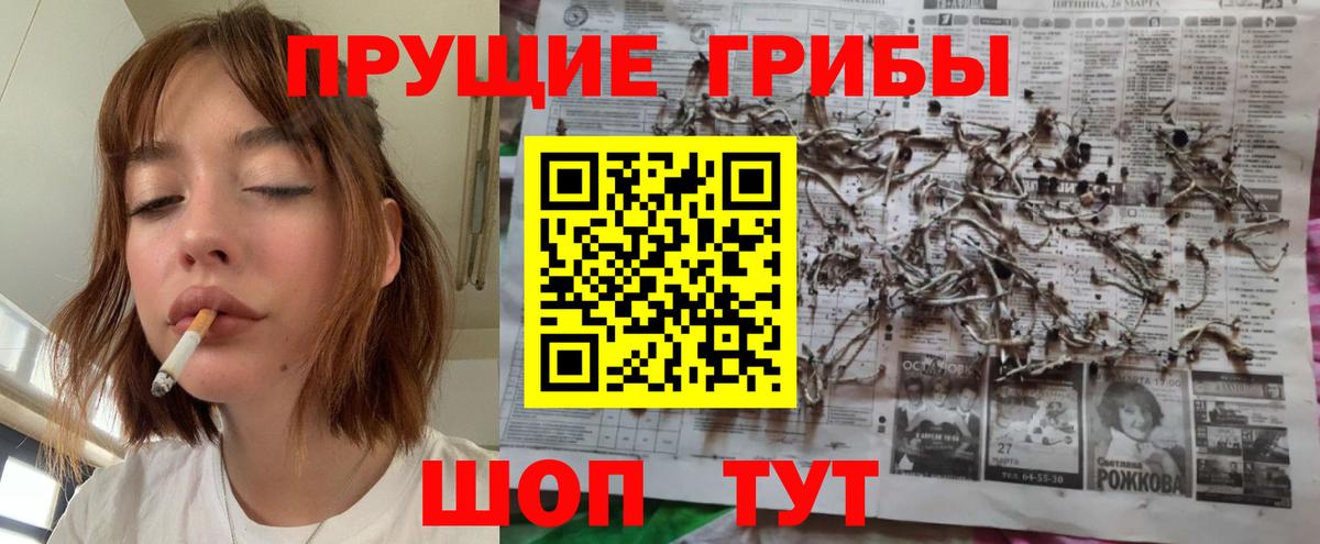 Псилоцибиновые грибы MAGIC MUSHROOMS  Вход с VPN  Мытищи 